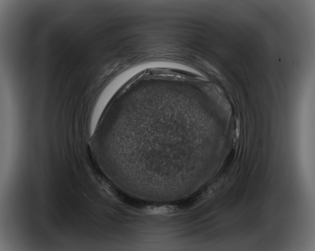 X0000083580452200703021820