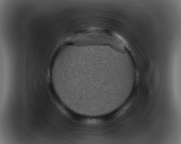 X0000083580453200703021820