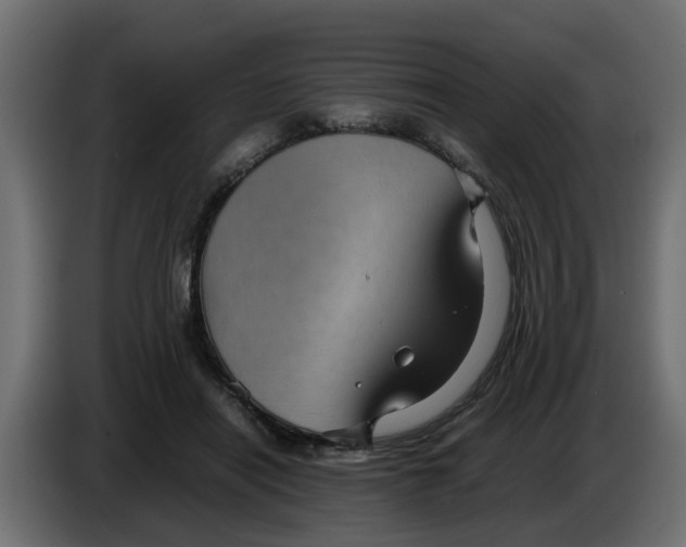 X0000083580454200703021820