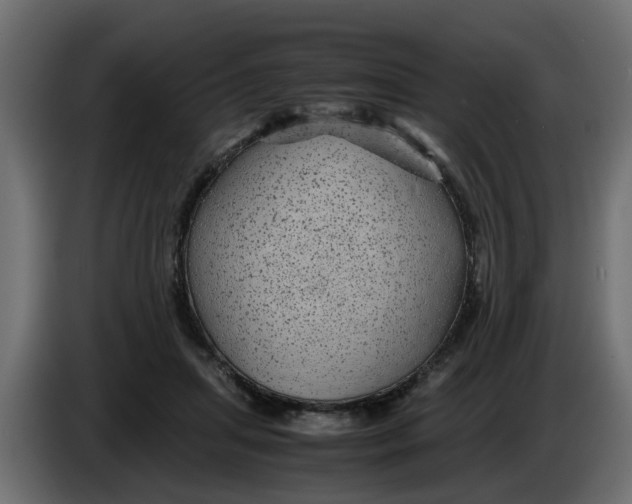 X0000083580455200703021820