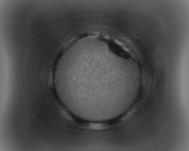 X0000083580457200703021820