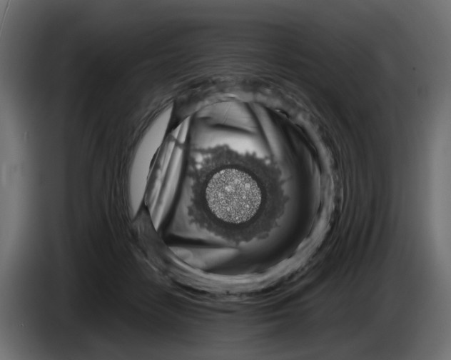 X0000083580458200703021820