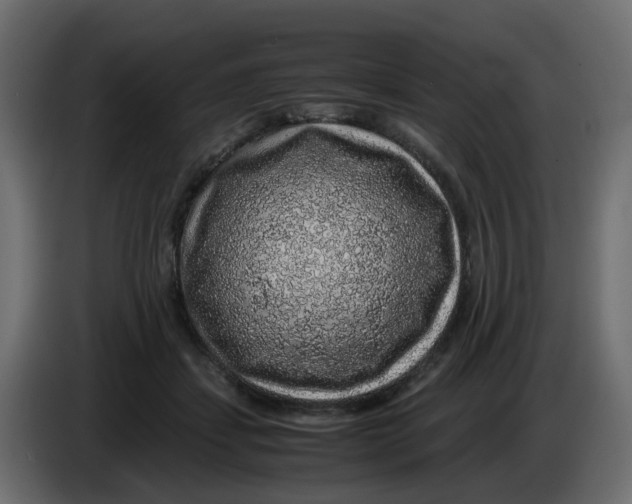 X0000083580459200703021820