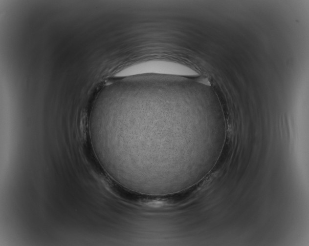 X0000083580460200703021820