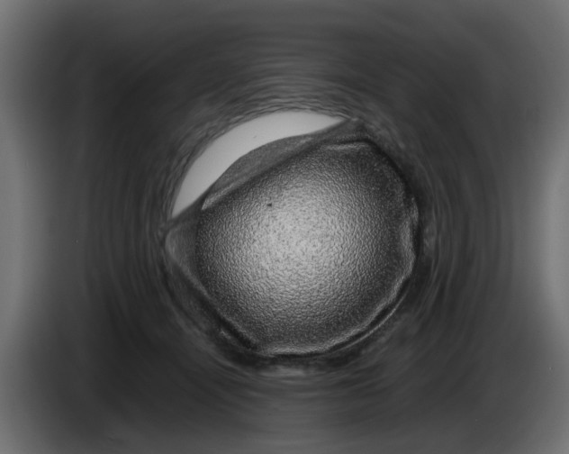 X0000083580464200703021820