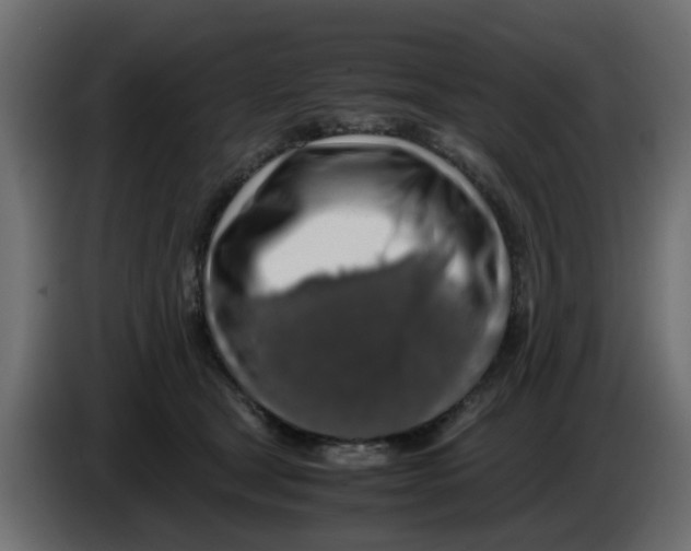 X0000083580465200703021820