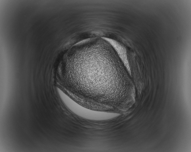 X0000083580466200703021820