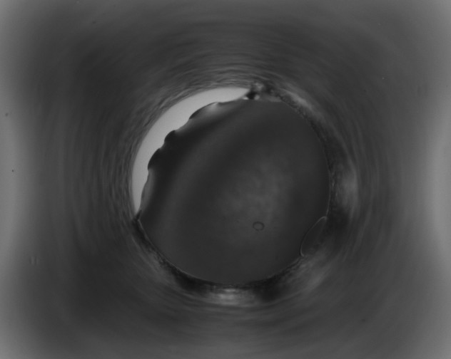 X0000083580467200703021820