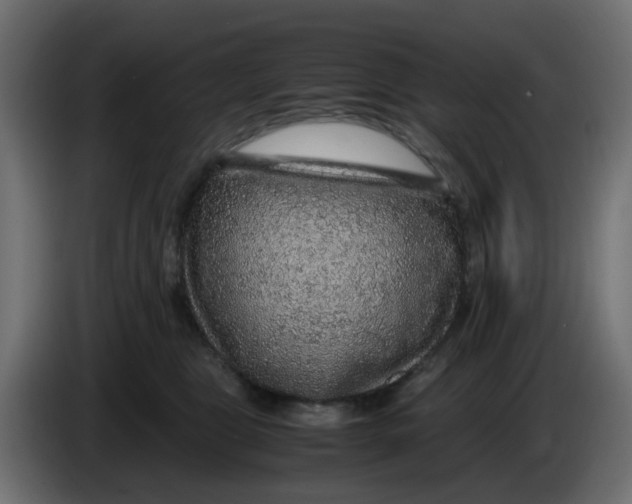 X0000083580469200703021820