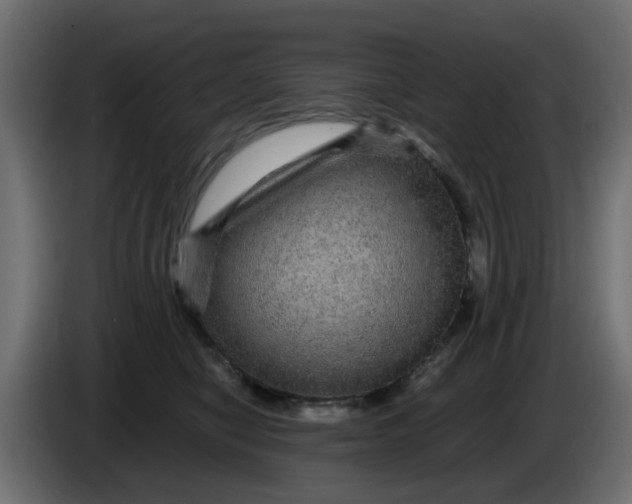 X0000083580470200703021820