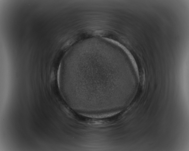 X0000083580472200703021820