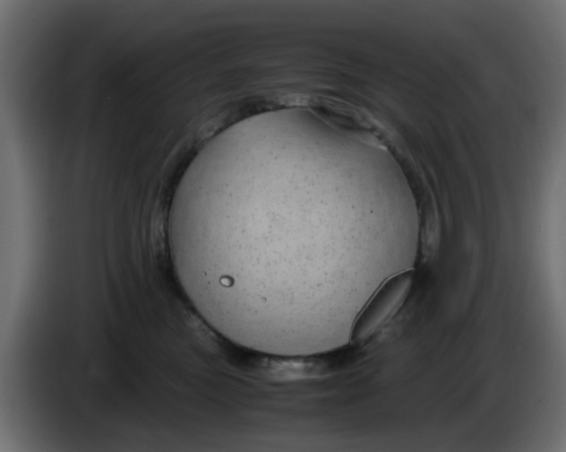 X0000083580473200703021820