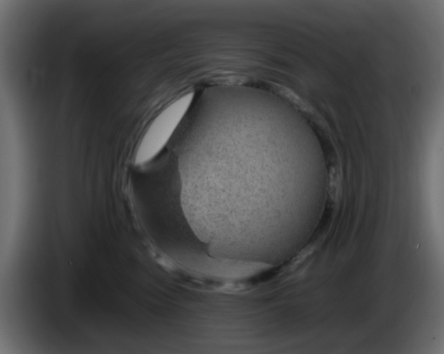 X0000083580474200703021820