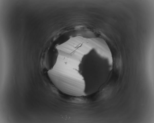 X0000083580475200703021820