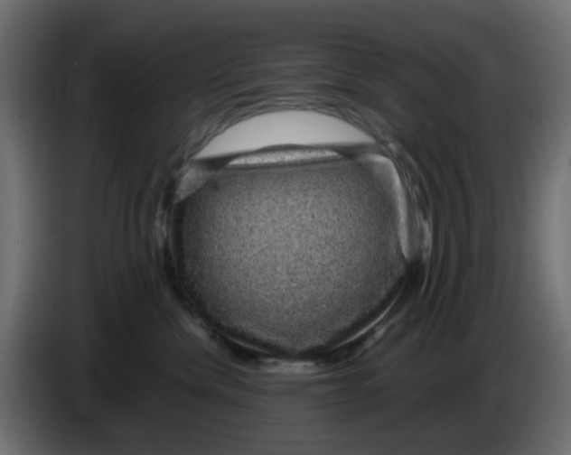 X0000083580476200703021821