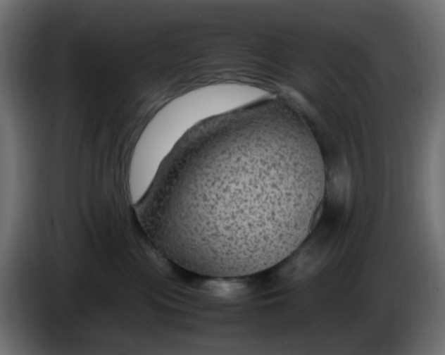 X0000083580477200703021821