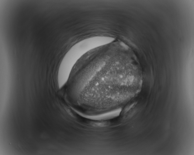 X0000083580479200703021821