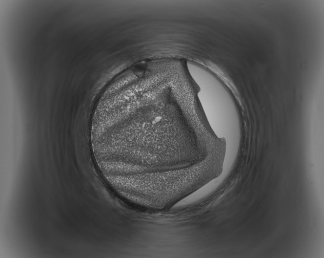 X0000083580481200703021820