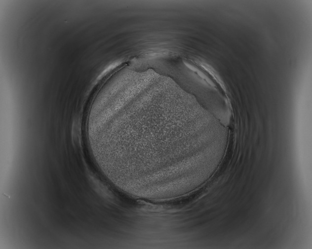 X0000083580482200703021820