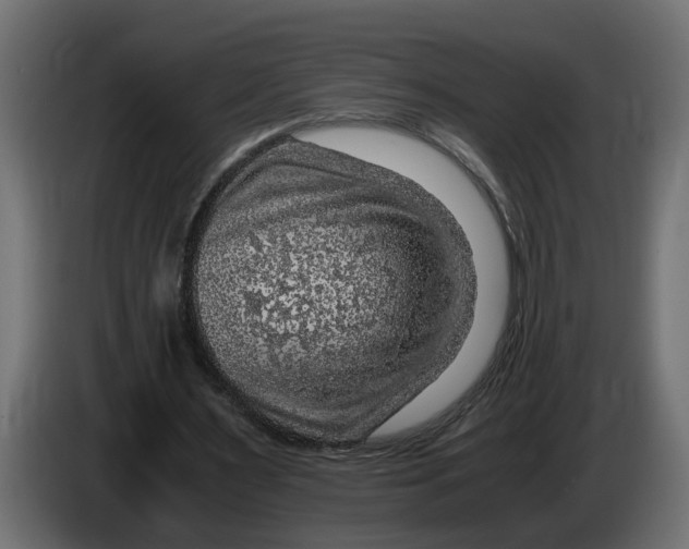 X0000083580483200703021820