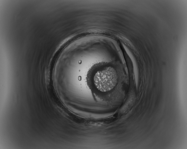 X0000083580484200703021820