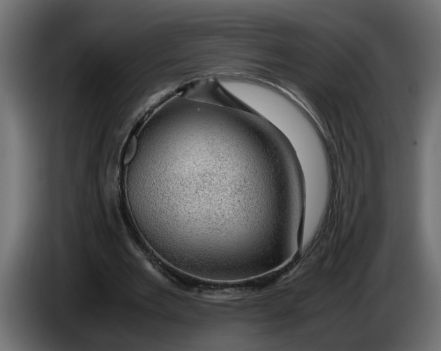 X0000083580485200703021820