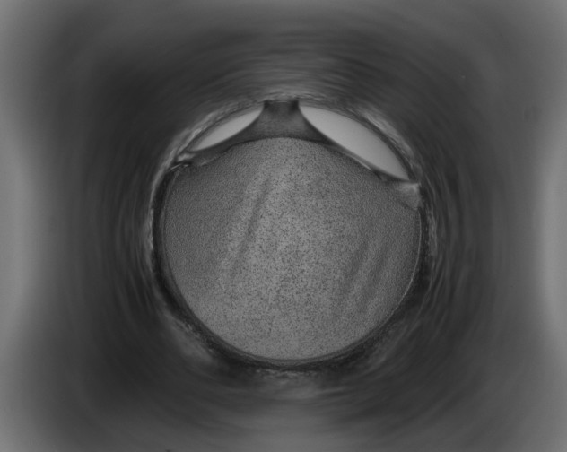 X0000083580486200703021820