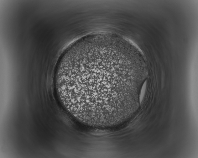 X0000083580487200703021820