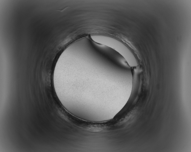 X0000083580489200703021820