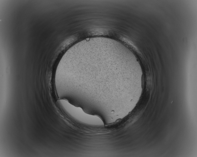 X0000083580490200703021819