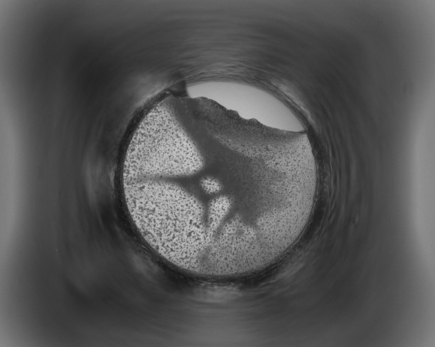 X0000083580491200703021819