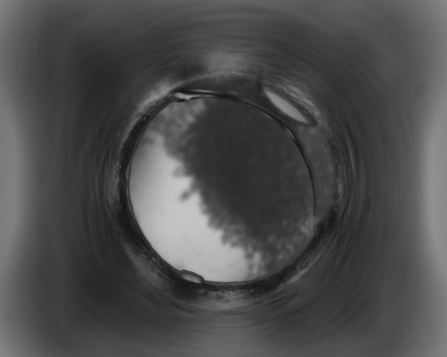 X0000083580492200703021819