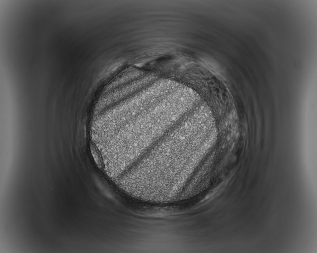 X0000083580493200703021819