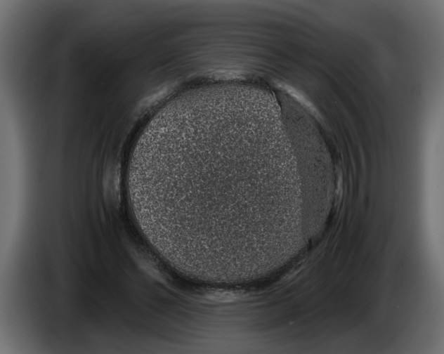 X0000083580494200703021819