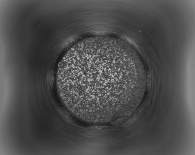 X0000083580495200703021819