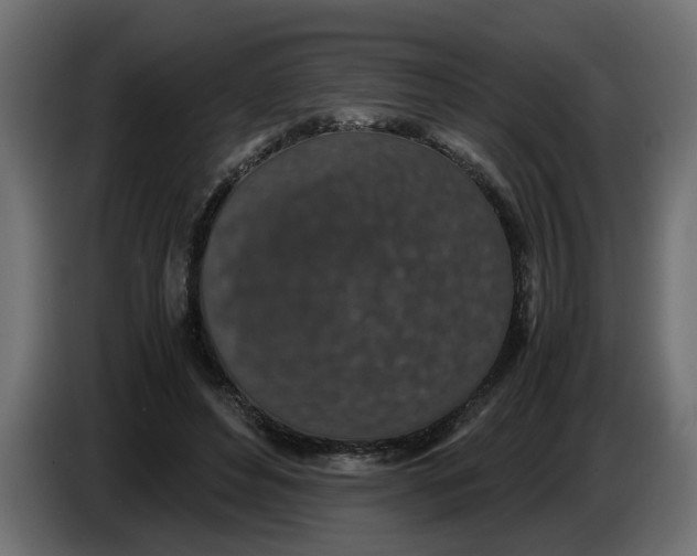 X0000083580496200703021819