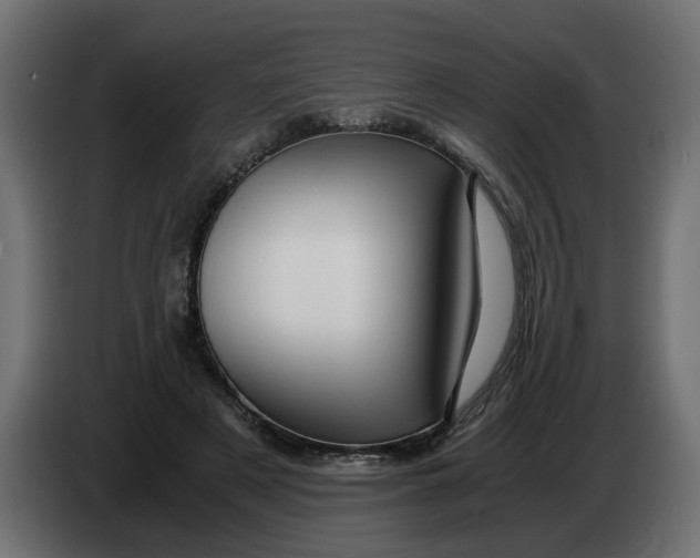 X0000083580497200703021819