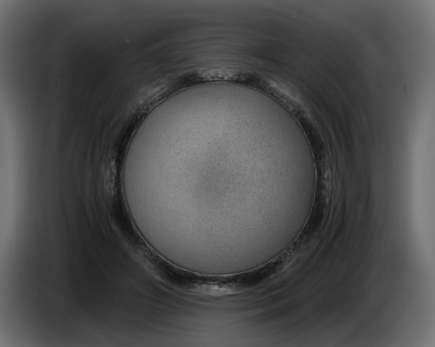 X0000083580498200703021819