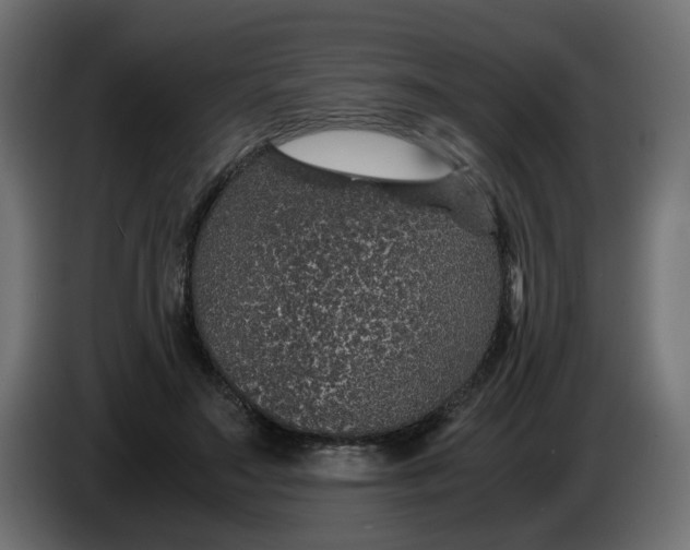 X0000083580499200703021819