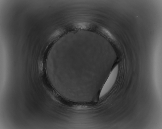 X0000083580500200703021819