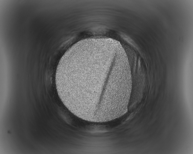 X0000083580501200703021819