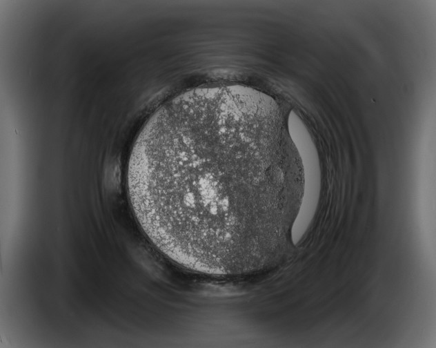 X0000083580502200703021819