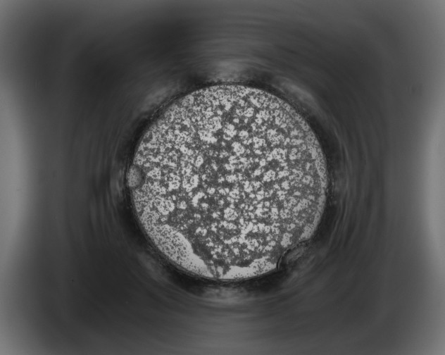 X0000083580503200703021819