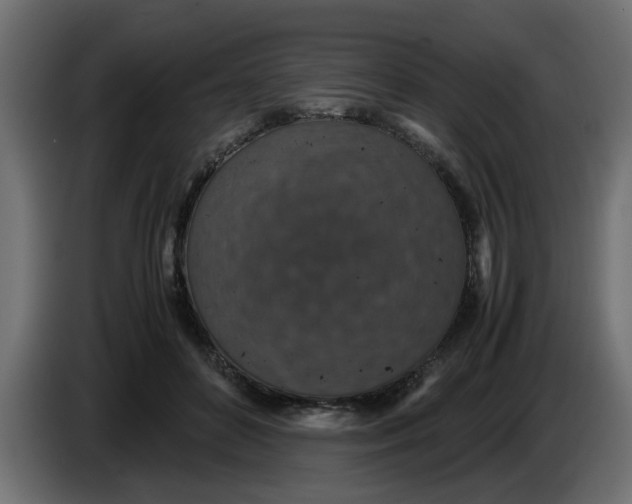 X0000083580504200703021819