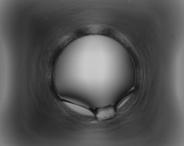 X0000083580505200703021819