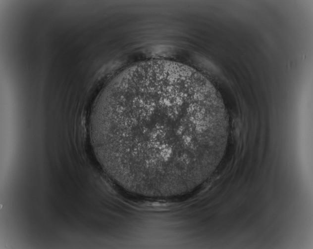 X0000083580506200703021819