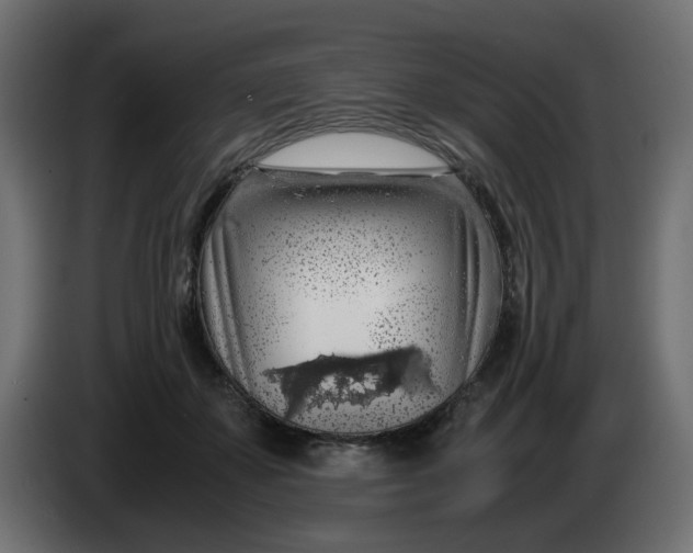 X0000083580507200703021819