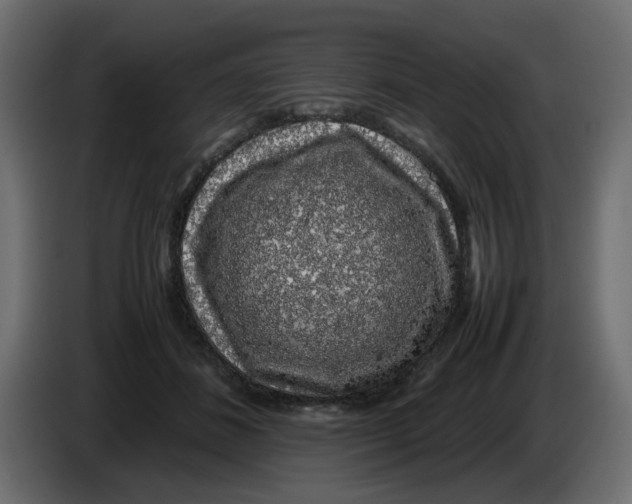 X0000083580508200703021819