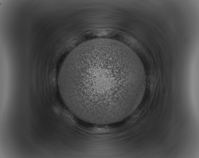 X0000083580510200703021819