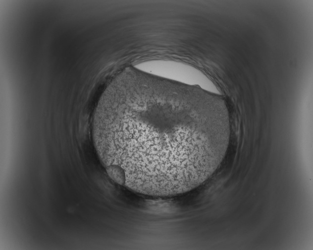 X0000083580511200703021819